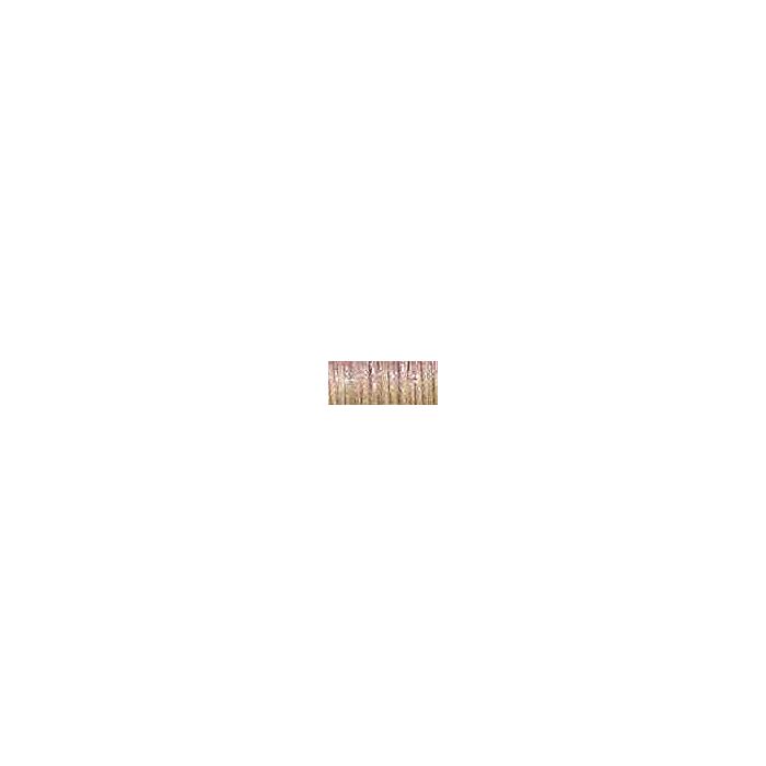 Kreinik #4 - 5550 Gourmet Nutmeg