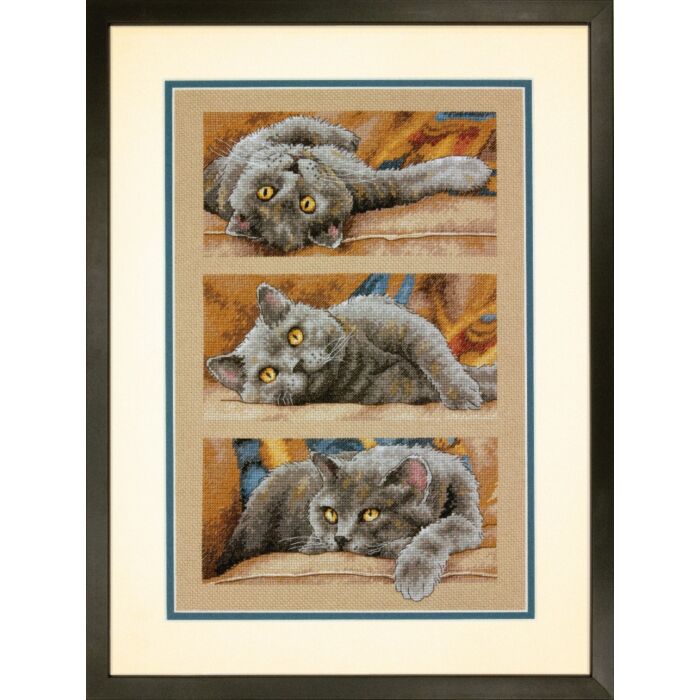 Max The Cat Dimensions Kit