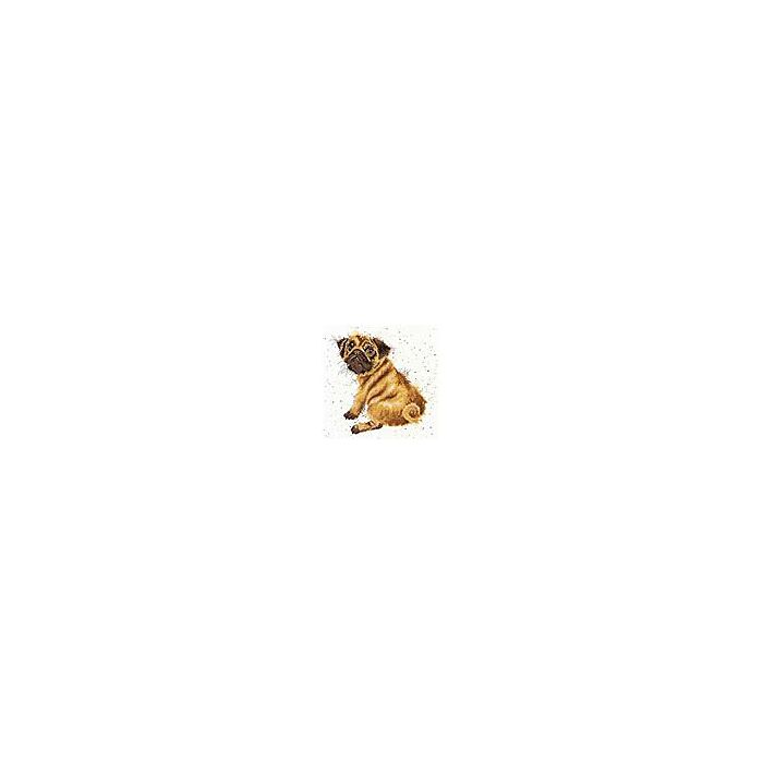 XHD1 - Bright Eyes Cross Stitch Kit