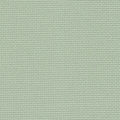 Zweigart 14 Count Aida - Celedon Green - Off cut 14" x 15"