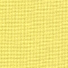 27 Count Linda Wide Yellow