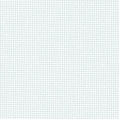 20 Count Bellana White