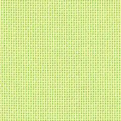 20 Count Bellana Lime Green