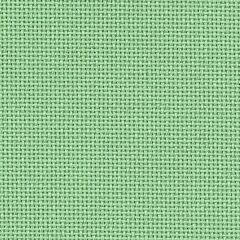20 Count Bellana Moss Green