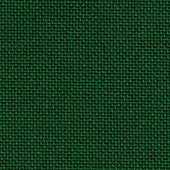 20 Count Bellana Forest Green