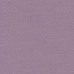 20 Count Aida Lavender