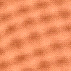 19 Count Ariosa Pumpkin