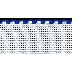 1in / 2.5cm White / Royal Blue Edged Aida Band - 1m