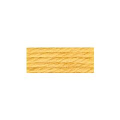 DMC Tapestry Wool - 7055