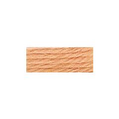 DMC Tapestry Wool - 7173