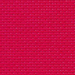 6 Count Binca Raspberry
