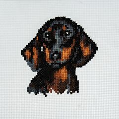 Trimits  - Cross Stitch Kit - Dachshund