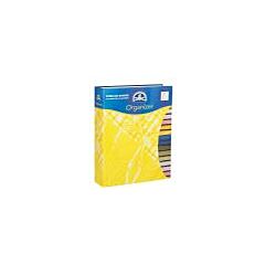 DMC Gold Concept Storage Binder