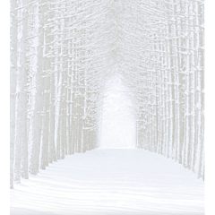 Fabric Flair 14ct Aida Winter Forest with Sparkles