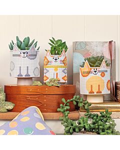 Purrfect Pots - Plastic Aida