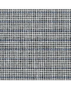 Waste Canvas White/Blue Grid: 14 Hole - Off Cut - 100 x 8cm